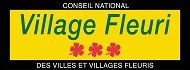Village fleuri