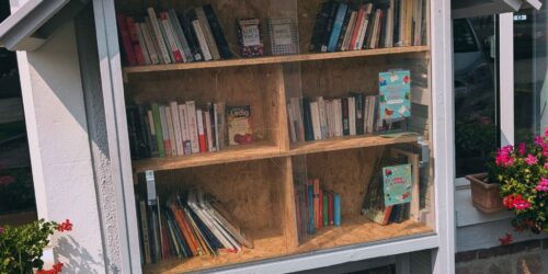 Nouvelle Boîte à Livres ! 📚